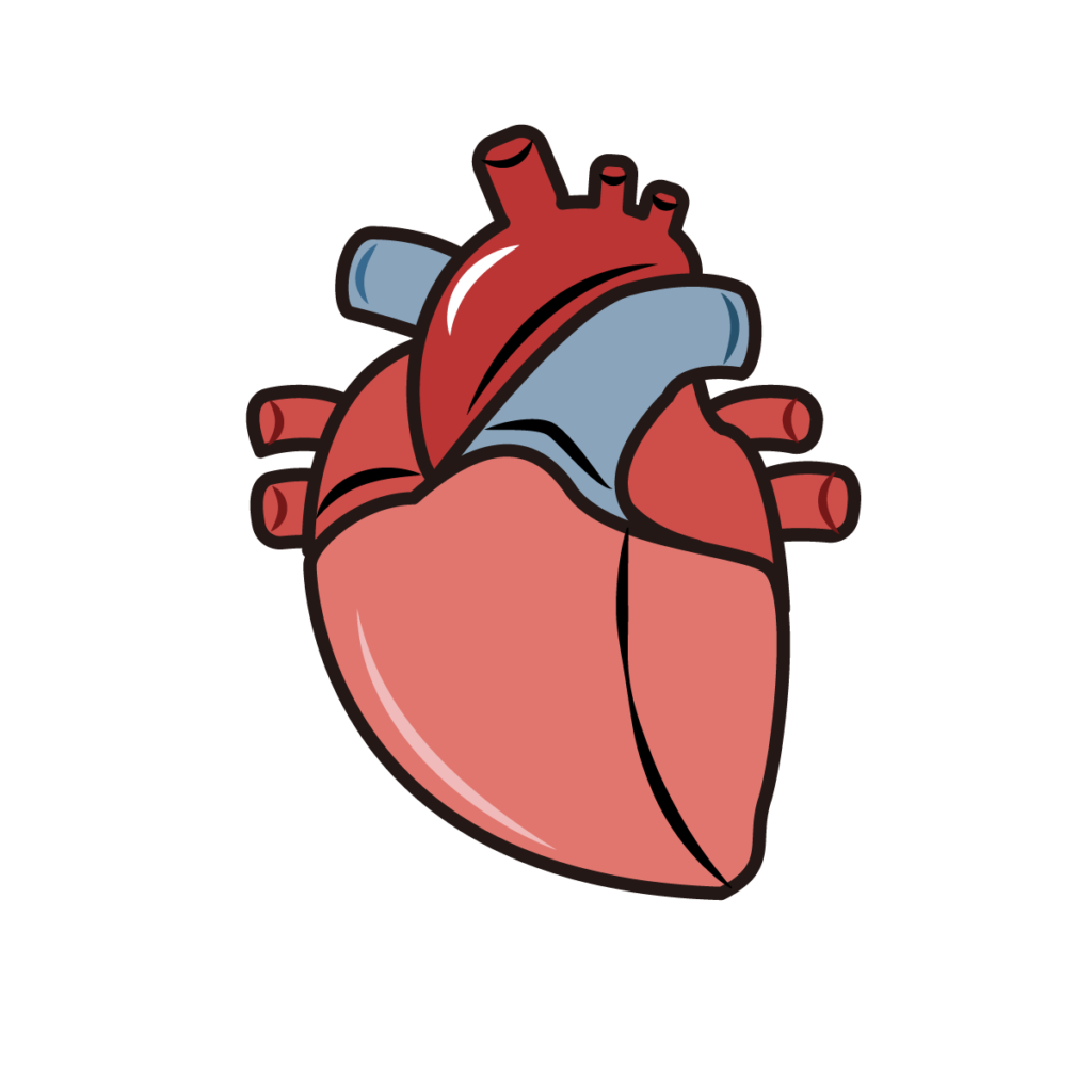 Mitral Valve Clip | Procedure and Recovery | Dr Mayur Jain