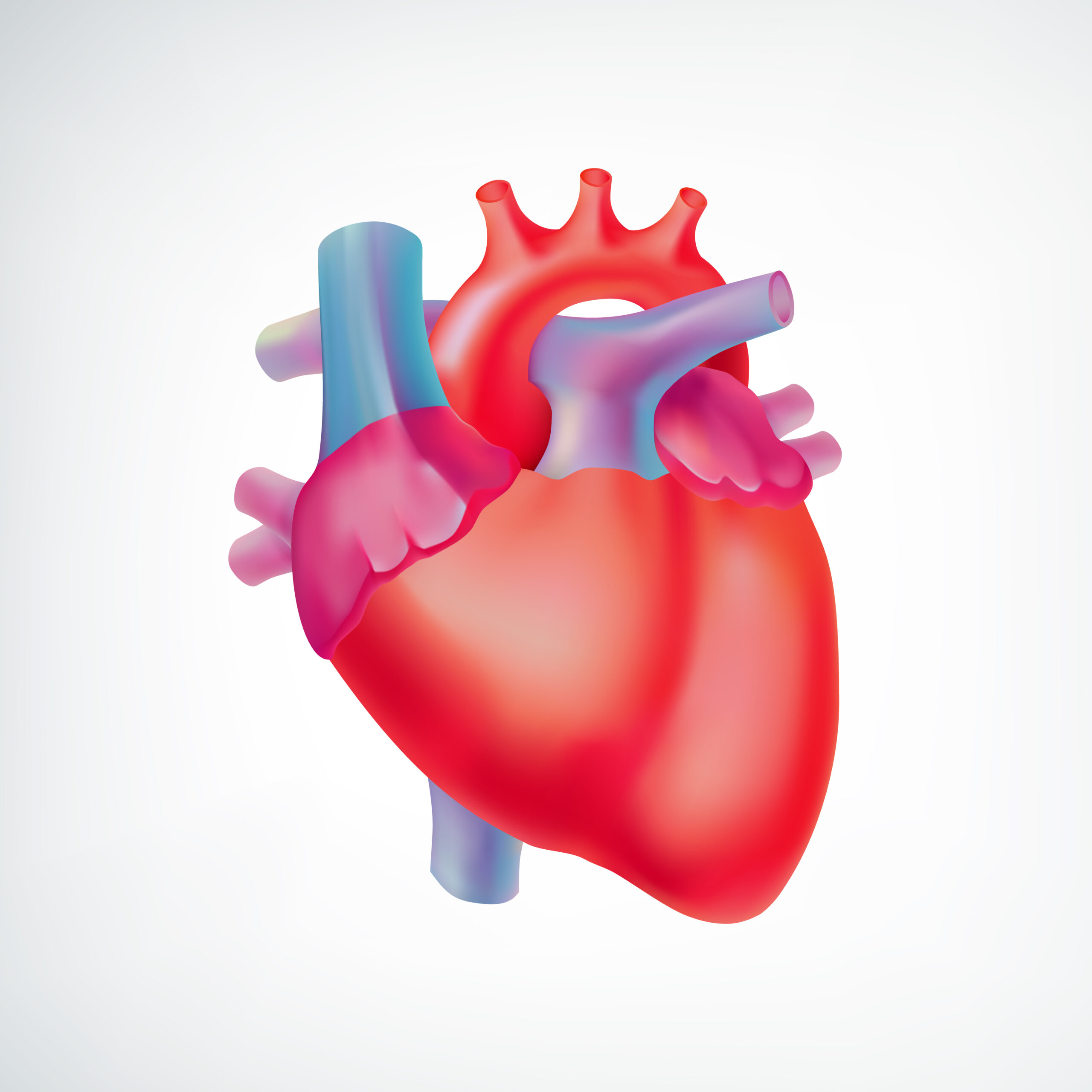 Best Mitral Valve Repair Doctors in Thane